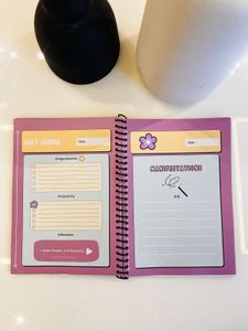 Delulu Diaries Manifesting Journal