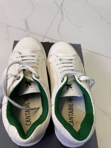Branded Sneaker Shoes For Men
