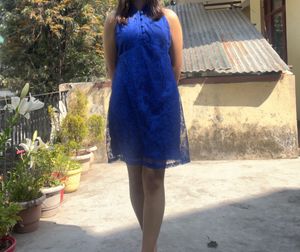 Cobalt Blue Lace Mini Dress