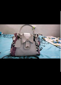Combo Of Two Bags