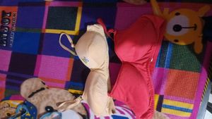 Fancy Paded Bra For Women