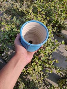 Ceramic Planter For Your Plants