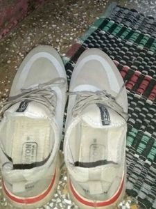 Comfortable Gray Everyday Sneakers