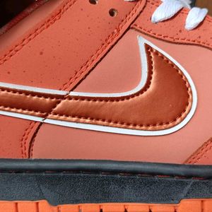 Nike SB Red Lobster New (Open For Negotiations)