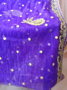 Net Party Wear Saree
