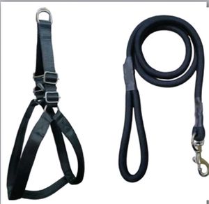 Dog Harnesses