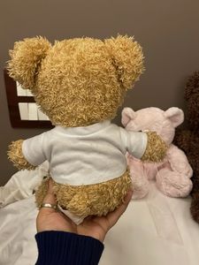 Adorable Teddy Bear Trio