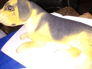 Dog Plush Toy