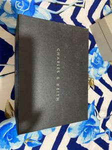 Charles &amp; keith Cressida Quilted Push-Lock Clutch