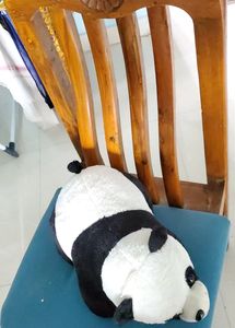 New Panda And Tiger Offer