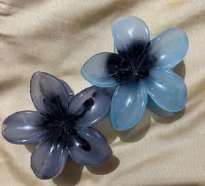 Beautiful Hair Clip