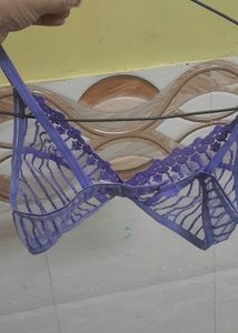 Like New 2 Bra Pis