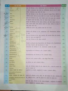 Class 8 Hindi Vyakaran Book