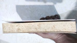 The Zahir by Paulo Coelho