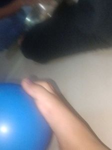 Sijs