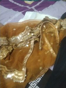 Fancy Party Wear Dupatta
