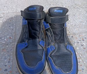 These are my puma Shoes which I Bought  before 1yr