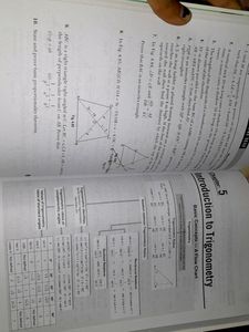 Xam IDEA Mathematics Class Xth Term 1