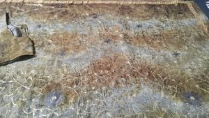 Elegant Floral Embroidered Saree