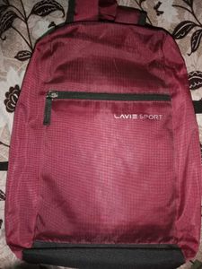 Lavie&#39;s New Burgundy Bag