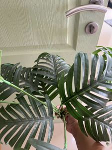 Artificial Plant