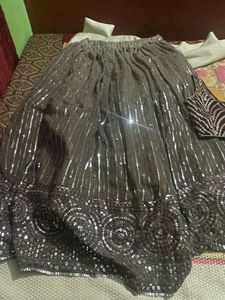 Beautiful Lehenga With Sequence Work