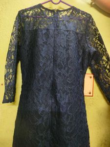 Navy blue Net Bodycon Dress