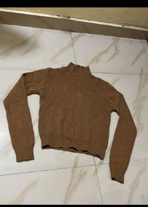 Brown Turtleneck Sweater