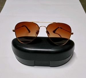 Mens Brown Sunglass