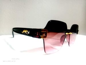Stylish Sunglasses