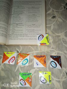 Book Notes ( 21 Marks).