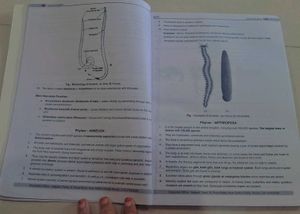 Scholars NEET Course Books