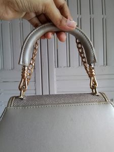 Exotic&#39; Silver Handbag
