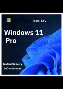 Windows 10 Pro Home Windows11 Pr Ms Office