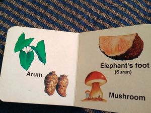 Small Board Book Of Vegetables