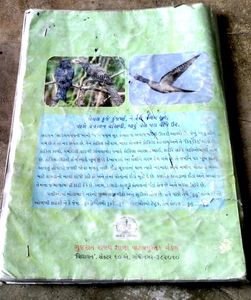 STD 4 Gujarat Board Gujarati Kuhu Textbook