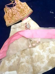 Very Elegent Chaniya Choli
