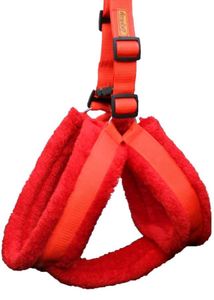 Harness for a big dog