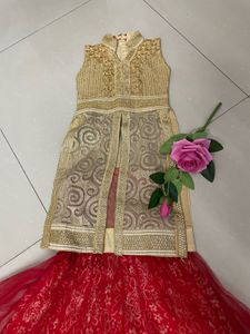 Combo Of 2 Lehnga For Baby Girls