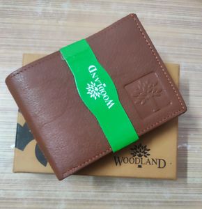 WOODLAND Men Brown Genuine Leather Wallet