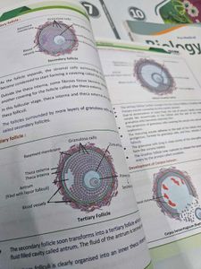 Allen Biology Modules 1-12 2023