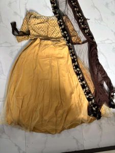 Elegant Embellished Lehenga Choli Set