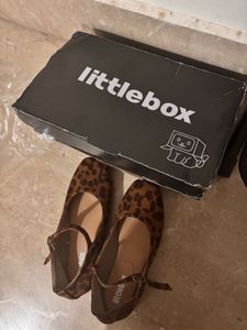 Trendy Flats