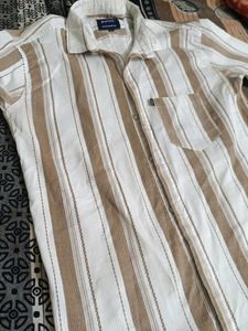 Striped Button-Down Shirt