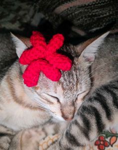 Angry Crochet Hair Clips - Set of 2