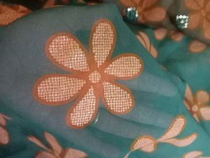 Double Shades Saree With Net Palla