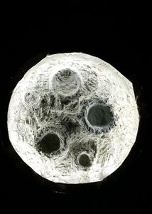 Moon Lamp With Withe Light
