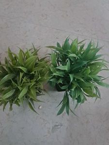 Artificial Green