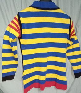 Beautiful Women Woolen Sweater In Multicolour