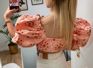 Zara Embroidered Crop Top- New With Tags